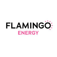 Logo Flamingo Energy